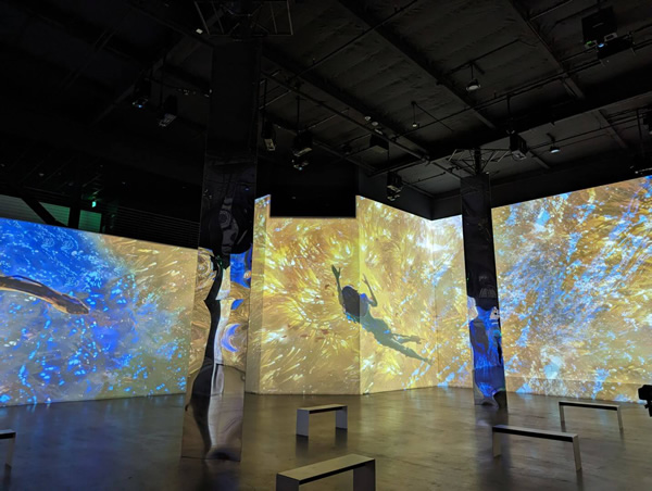 Avatar-The-Way-of-Water-Immersive-Experience-3.jpg